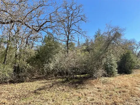 Tbd County Road 212 Hallettsville TX 77964