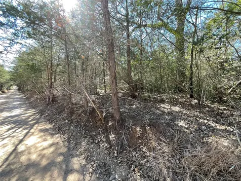 Tbd County Road 212 Hallettsville TX 77964