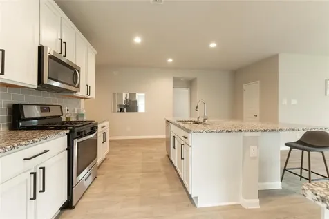 1503 Custer Ridge Court Missouri City TX 77459