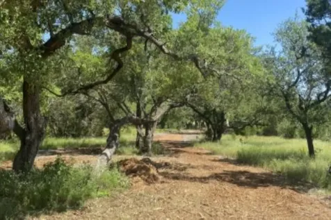 208 Spicewood Trail Drive Spicewood TX 78669