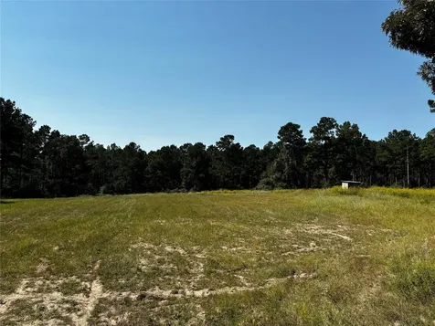 Tract 3 Trinity Lady Park Road W Trinity TX 75862