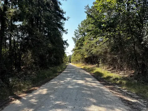 Tract 3 Trinity Lady Park Road W Trinity TX 75862