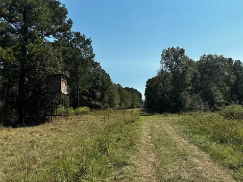 Tract 3 Trinity Lady Park Road W Trinity TX 75862