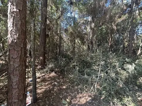 Lot 334 Powdrill Buna TX 77612