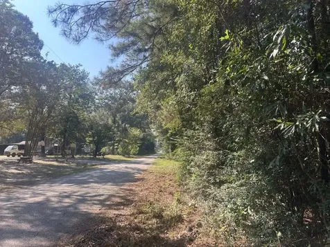 Lot 334 Powdrill Buna TX 77612