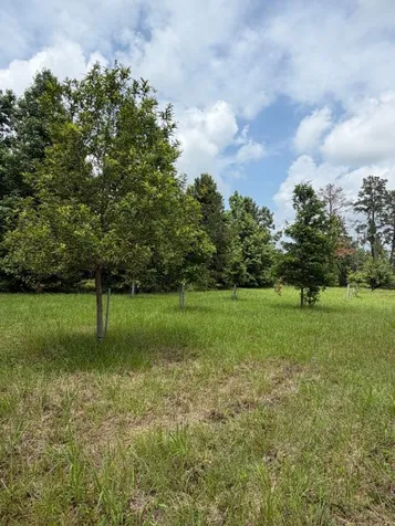 371 Fm 1872 Corrigan TX 75939