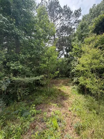 371 Fm 1872 Corrigan TX 75939