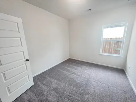 13211 Hayden Peak Drive Iowa Colony TX 77583