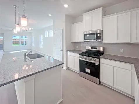 13211 Hayden Peak Drive Iowa Colony TX 77583