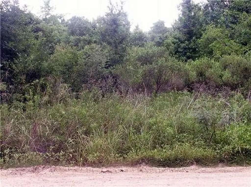 00 County Road 2926 Cleveland TX 77327