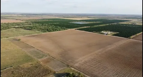 2900 County Road Edinburg TX 78542