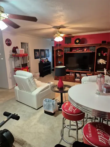 21867 Mossy Field Lane Spring TX 77388