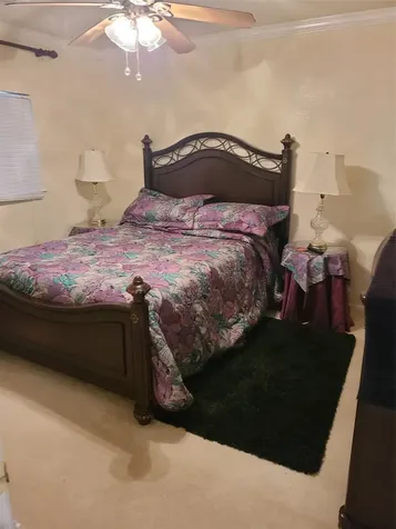21867 Mossy Field Lane Spring TX 77388