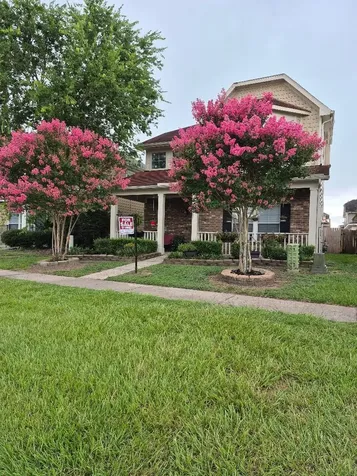 21867 Mossy Field Lane Spring TX 77388