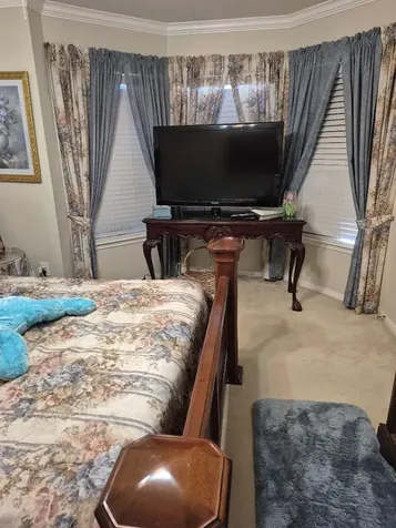 21867 Mossy Field Lane Spring TX 77388