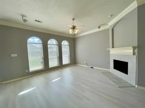 17407 Adina Springs Lane Houston TX 77095