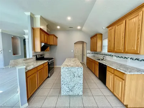 17407 Adina Springs Lane Houston TX 77095