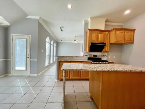 17407 Adina Springs Lane Houston TX 77095