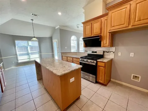17407 Adina Springs Lane Houston TX 77095