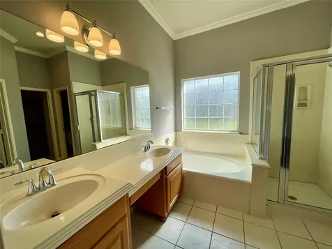 17407 Adina Springs Lane Houston TX 77095
