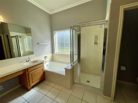 17407 Adina Springs Lane Houston TX 77095