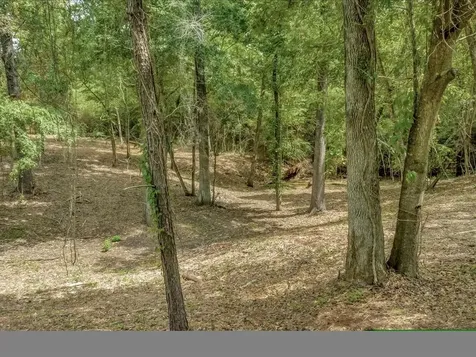 Tbd Commodore And Brame Drive Livingston TX 77351