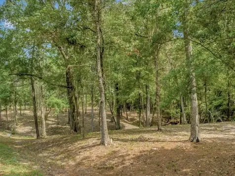 Tbd Commodore And Brame Drive Livingston TX 77351