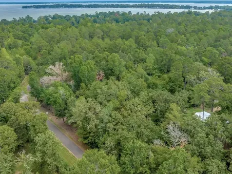 Tbd Commodore And Brame Drive Livingston TX 77351