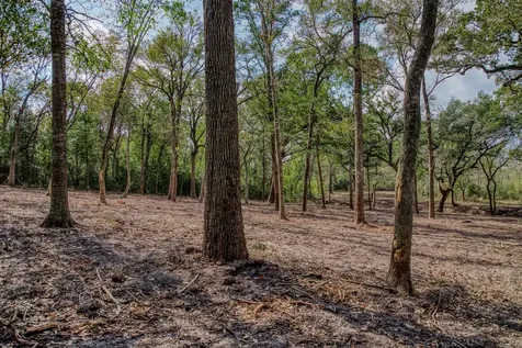 Tract 4 Sun Oil Road Brenham TX 77833