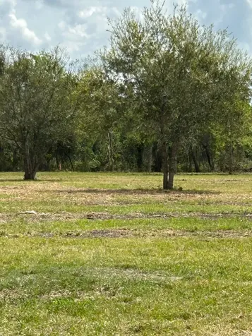 000 Saddle Drive Pleak TX 77461