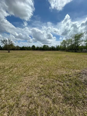 000 Saddle Drive Pleak TX 77461