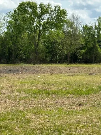 000 Saddle Drive Pleak TX 77461