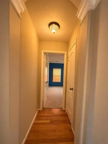 2605 Cypress Springs Drive Pearland TX 77584
