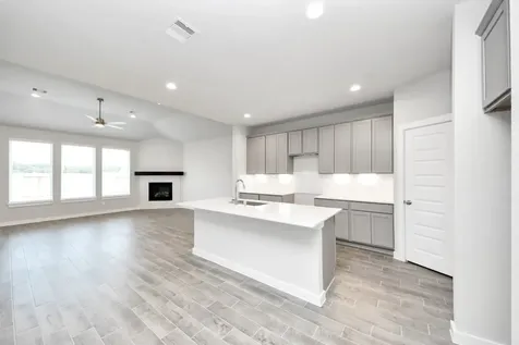 24502 Broad Park Court Spring TX 77373