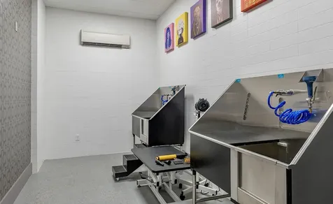 160 Birdsall Street 1134 Houston TX 77007