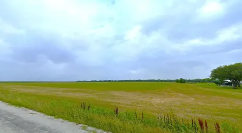Tbd County Road 321 Louise TX 77455