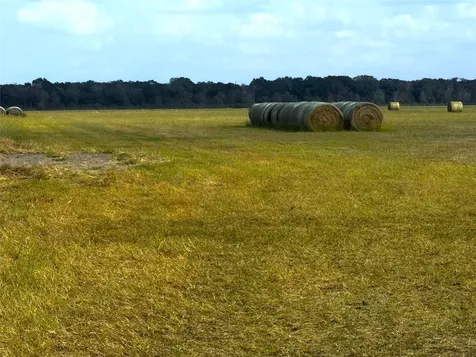 Tbd County Road 321 Louise TX 77455