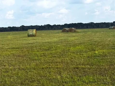 Tbd County Road 321 Louise TX 77455