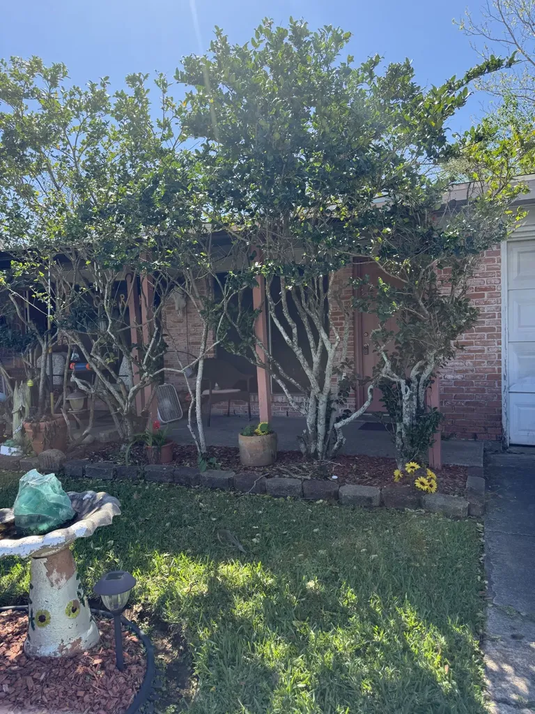 1761 El Mar Lane Seabrook TX 77586