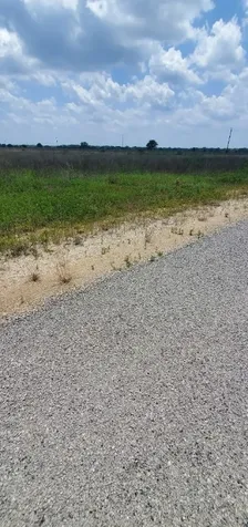 139 Wild Wing Preserve Columbus TX 78934