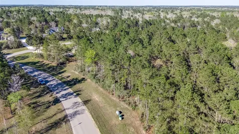 15790 Republic Ranch Road N Willis TX 77378