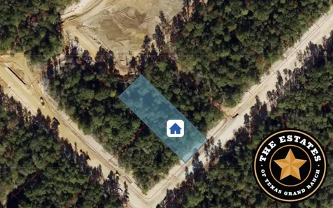 191 Hollow Hill Road New Waverly TX 77358