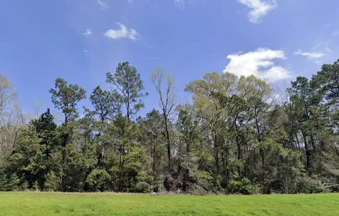 191 Hollow Hill Road New Waverly TX 77358