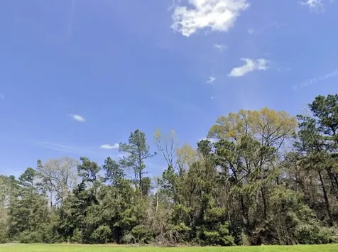 191 Hollow Hill Road New Waverly TX 77358