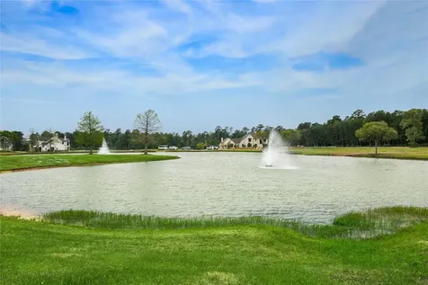 2307 Iris Cove Court Hockley TX 77447