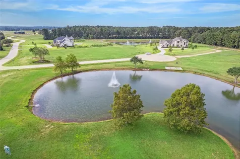 2307 Iris Cove Court Hockley TX 77447
