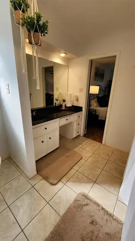 3211 Meadowlark Lane Montgomery TX 77356