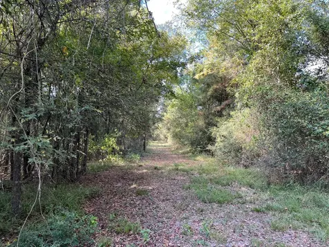 7749 Cr 4200 Pennington TX 75856