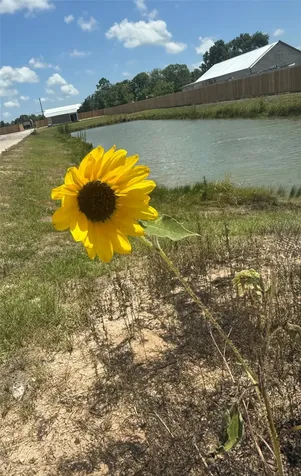 17310 Cowan Road Alvin TX 77511