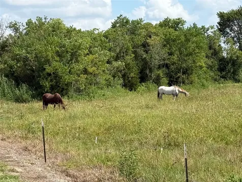 17310 Cowan Road Alvin TX 77511
